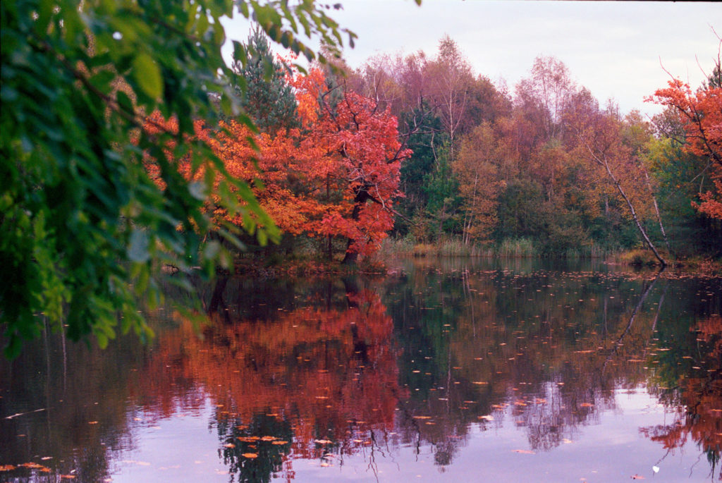 Farbfilm des Monats – Portra 400